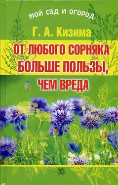 Галина Кизима От любого сорняка больше пользы, чем вреда обложка книги