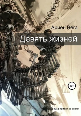 Ариен Вега Девять жизней обложка книги