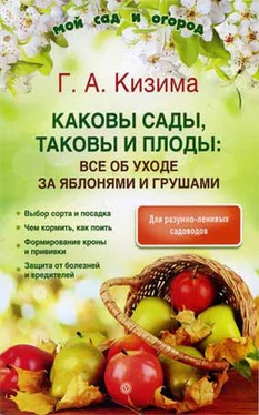 Галина Кизима Каковы сады, таковы и плоды: все об уходе за яблонями и грушами обложка книги