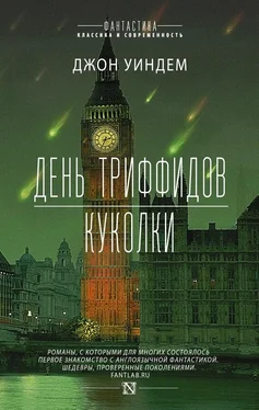 Джон Уиндем День триффидов. Куколки (сборник) обложка книги