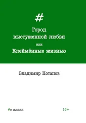 Владимир Потапов - Город выстуженной любви, или Клеймённые жизнью