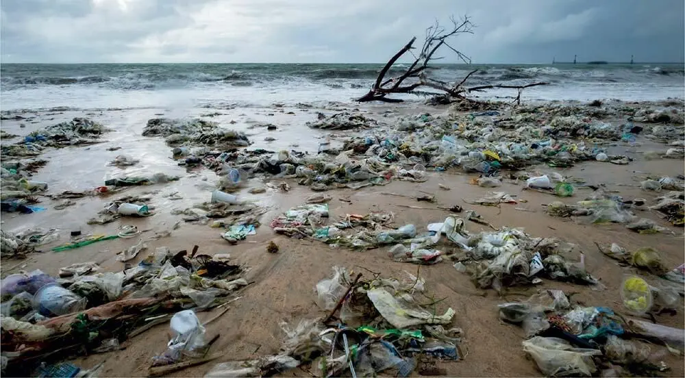 Pollution of the oceans by a variety of plastic items has only recently come to - фото 113