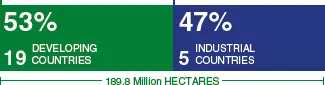 Figure 55 Distribution of biotech crops in developing and industrial countries - фото 117