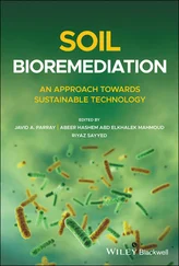 Soil Bioremediation