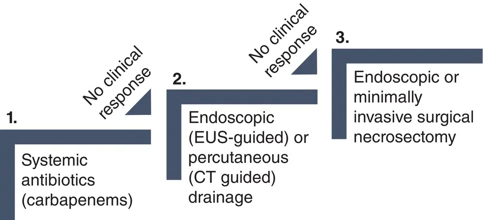 Figure 143 Stepup approach for the management of infected pancreatic - фото 20