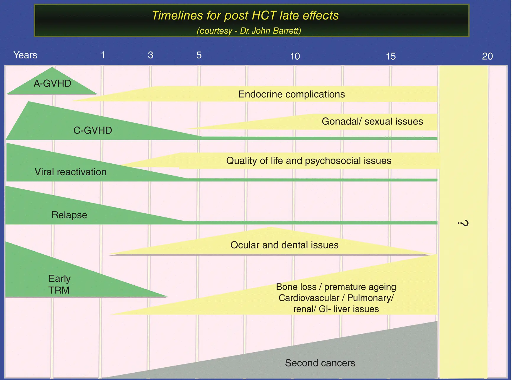 Figure 11 Timelines for postHCT late effects Source Courtesy of Prof John - фото 2