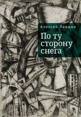 Алексей Левшин По ту сторону снега обложка книги