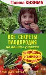 Галина Кизима - Все секреты плодородия на вашем участке.Природное (органическое) земледелие