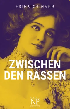 Heinrich Mann Zwischen den Rassen обложка книги