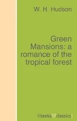 W. H. Hudson - Green Mansions - a romance of the tropical forest