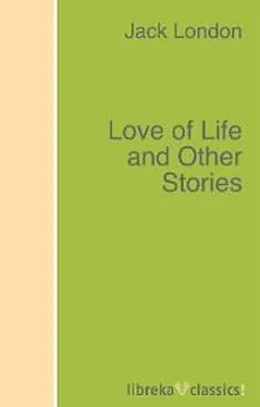 Jack London Love of Life and Other Stories обложка книги