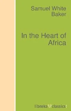 Samuel White Baker In the Heart of Africa обложка книги