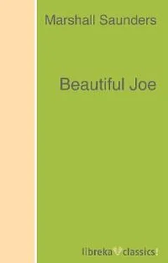 Marshall Saunders Beautiful Joe обложка книги