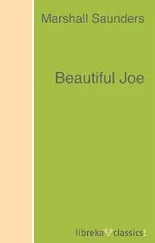 Marshall Saunders - Beautiful Joe