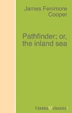 James Cooper Pathfinder; or, the inland sea обложка книги