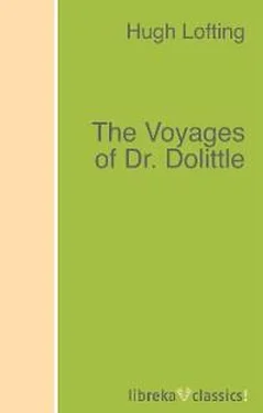 Hugh Lofting The Voyages of Dr. Dolittle обложка книги