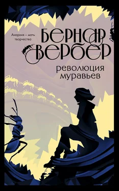 Бернар Вербер Революция муравьев обложка книги