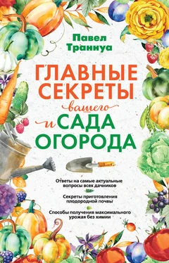 Павел Траннуа Главные секреты вашего сада и огорода обложка книги