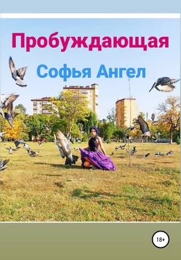 Софья Ангел Пробуждающая обложка книги