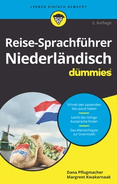 Margreet Kwakernaak Reise-Sprachführer Niederländisch für Dummies обложка книги