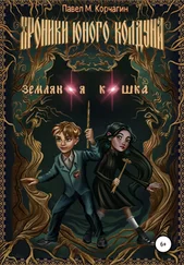 Павел Корчагин - Хроники юного колдуна - Земляная кошка