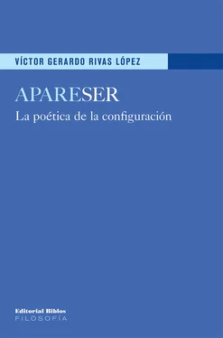 Víctor Gerardo Rivas López ApareSER обложка книги