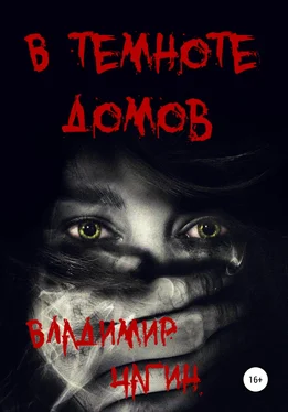 Владимир Чагин В темноте домов обложка книги