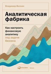 Владимир Волнин - Аналитическая фабрика. Как настроить финансовую аналитику под задачи бизнеса