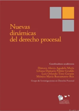 Julián García Ramírez Nuevas dinámicas del derecho procesal обложка книги