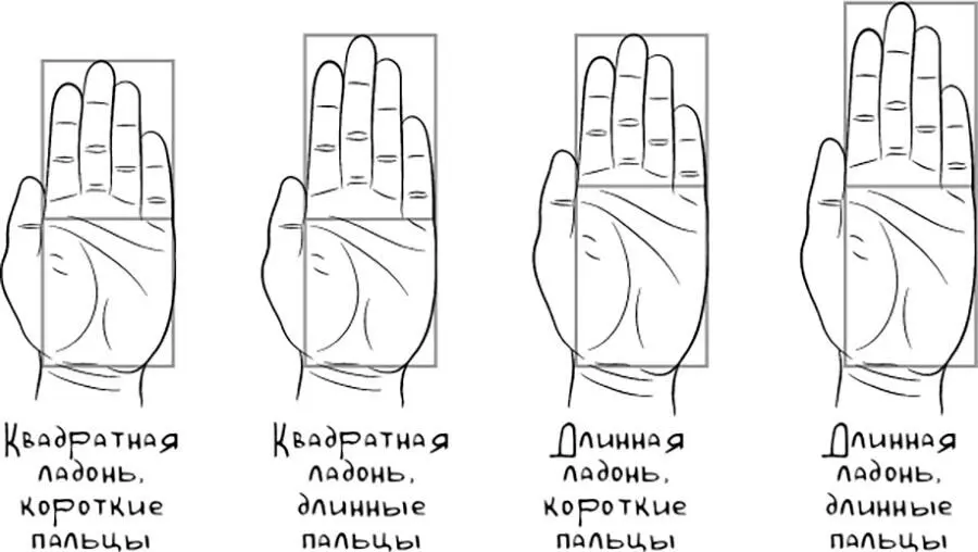 Если у вас квадратная ладонь вы наделены большим запасом энергии жизненной - фото 5