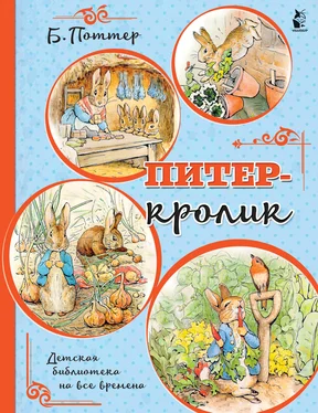 Беатрис Поттер Питер-кролик обложка книги