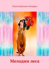Галина Ергазина-Галеррос - Мелодии леса. Радость дружбы с животными и пернатыми