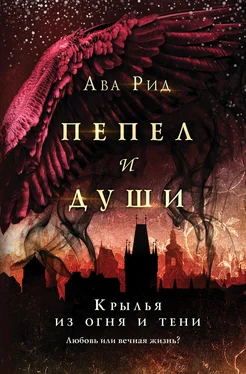 Ава Рид Крылья из огня и тени обложка книги