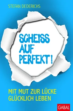 Stefan Dederichs Scheiß auf perfekt! обложка книги