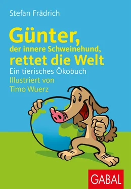 Stefan Frädrich Günter, der innere Schweinehund, rettet die Welt обложка книги