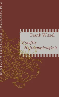 Frank Witzel Erhoffte Hoffnungslosigkeit обложка книги