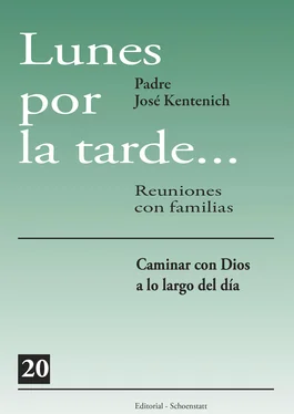 José Kentenich Lunes por la tarde… Tomo 2 обложка книги