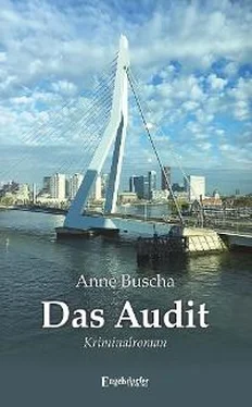 Anne Buscha Das Audit обложка книги