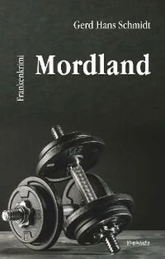 Gerd Hans Schmidt Mordland обложка книги