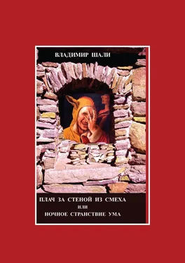 Владимир Шали Плач за стеной из смеха или Ночное странствие ума. Часть 1 обложка книги