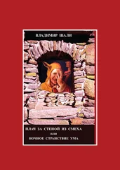 Владимир Шали - Плач за стеной из смеха или Ночное странствие ума. Часть 1