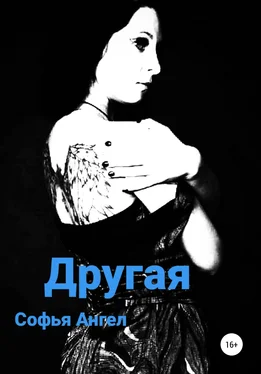Софья Ангел Другая обложка книги