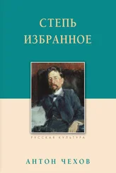 Антон Чехов - Степь. Избранное