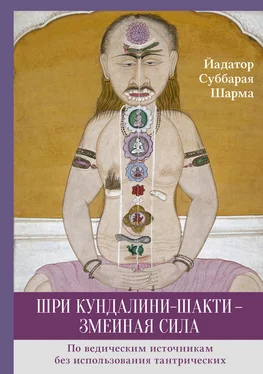 Йадатор Шарма Шри Кундалини-шакти – змеиная сила обложка книги