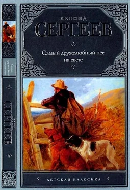 Леонид Сергеев Самый дружелюбный пёс на свете. Железный Дым обложка книги