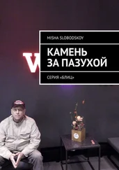 Misha Slobodskoy - Камень за пазухой. Серия «Блиц»