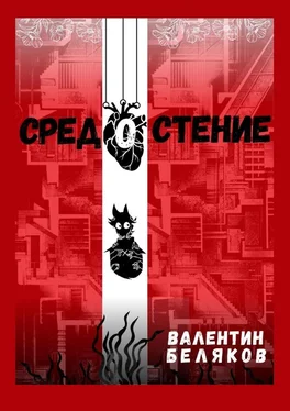 Валентин Беляков Средостение обложка книги