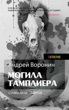 Андрей Воронин Слепой. Могила тамплиера обложка книги