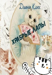 Диана Клюс - Храбрые лапы. Детская сказка