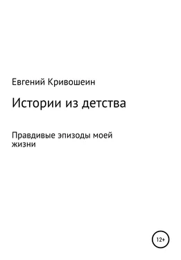 Евгений Кривошеин Истории из детства обложка книги